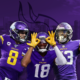 Minnesota VIkings